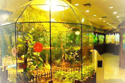 上海野生昆虫馆